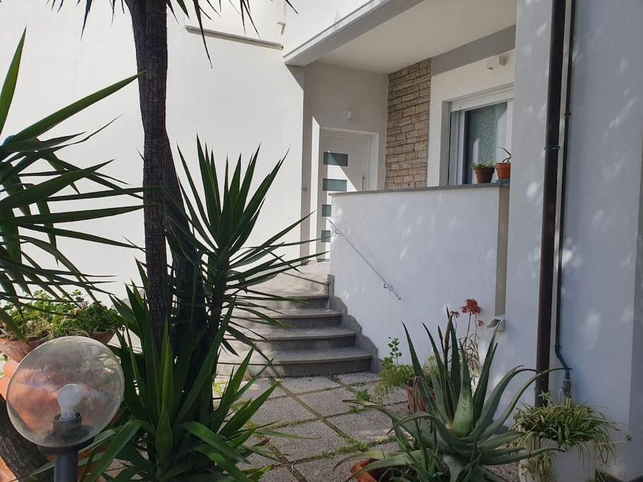 Lecci Al Mare Lägenhet San Vincenzo Exteriör bild